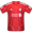 icon referate