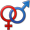 icon referate