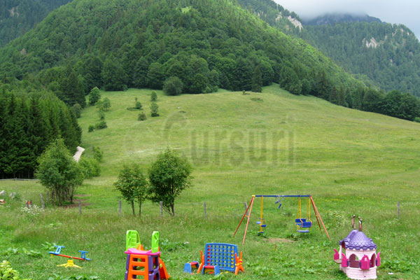 cursuri