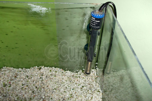 cursuri