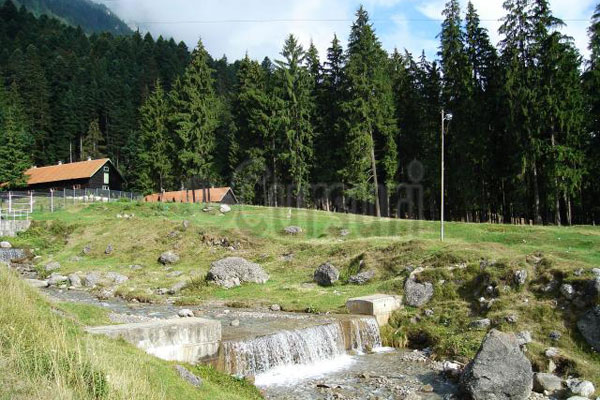 cursuri