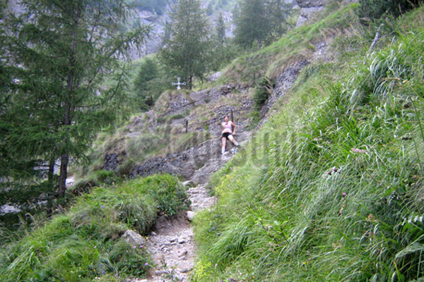 cursuri