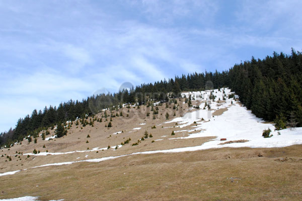 cursuri