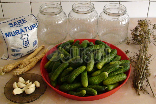 Cum sa pui castraveti murati in saramura