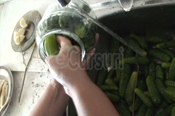 Cum sa pui castraveti murati in saramura