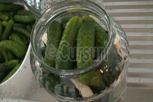 Cum sa pui castraveti murati in saramura